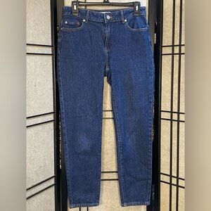 Urban Outfitters BDG Dark Wash Mid-Rise Skinny Jeans Size 27 perfect condition